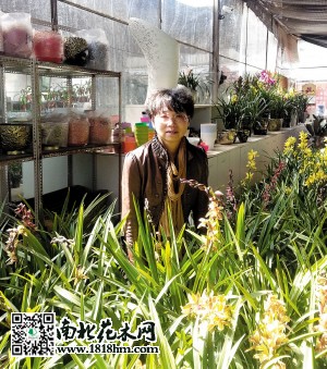 杨智华