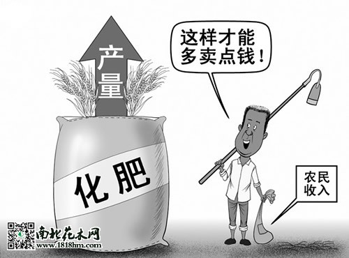 化肥施用适量的风险