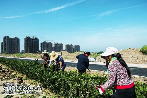 QQ截图20150708093433