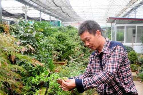 沭阳国际花木城运营户鲍俊虎