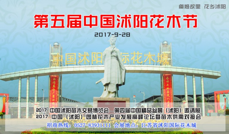 小告白图