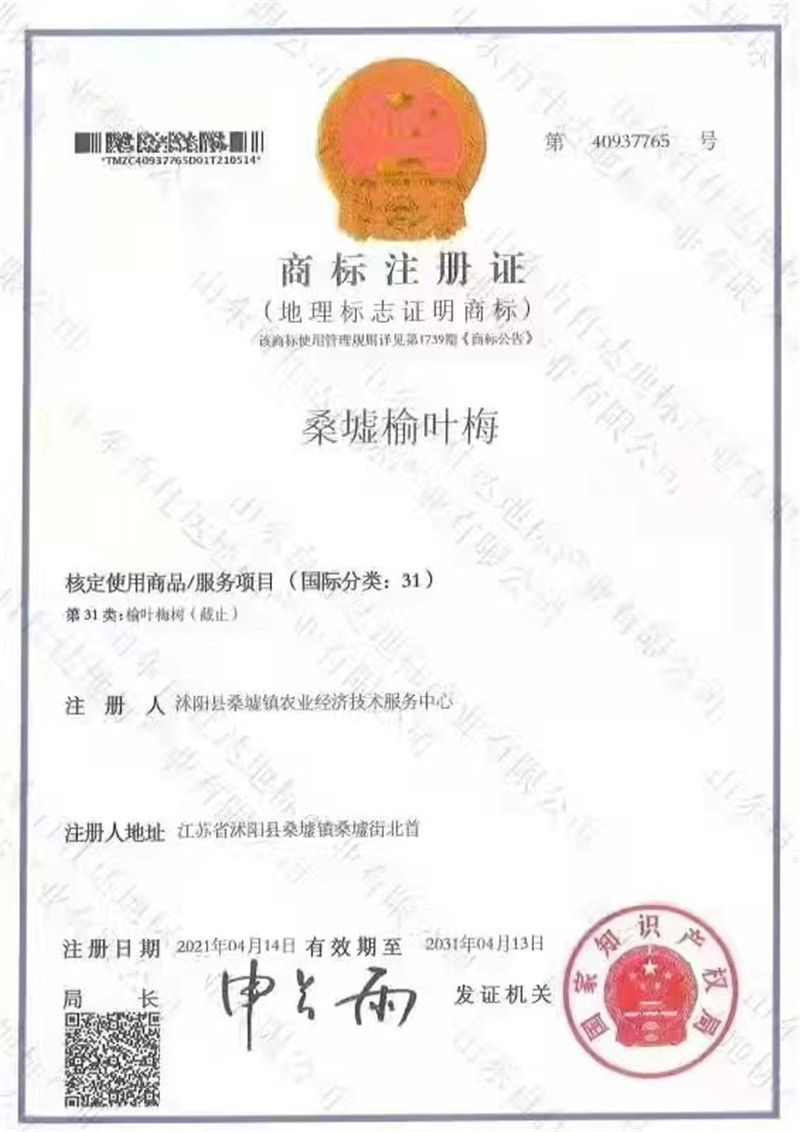 桑墟榆叶梅——国度地舆标记牌号